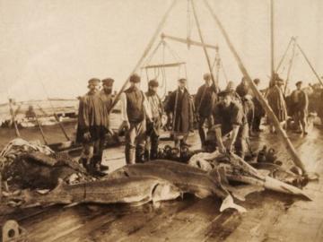 самая опасная рыба в волге. Смотреть фото самая опасная рыба в волге. Смотреть картинку самая опасная рыба в волге. Картинка про самая опасная рыба в волге. Фото самая опасная рыба в волге самая опасная рыба в волге. Смотреть фото самая опасная рыба в волге. Смотреть картинку самая опасная рыба в волге. Картинка про самая опасная рыба в волге. Фото самая опасная рыба в волге